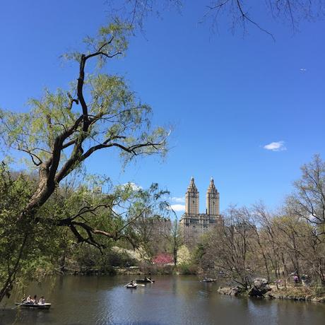 A Walk in the Park