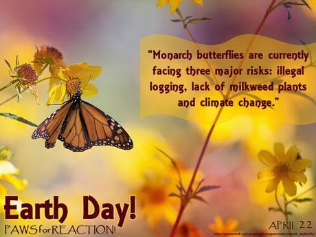 #EarthDay #Arpil22 2017 #MonarchButterfly #ClimateChange