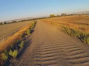 Story Burns Should Tell