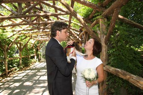 How to Include your Pet in your Wedding