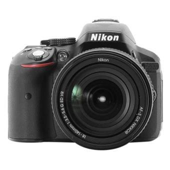 See Pictures Come Alive With DSLR Cameras See Pictures Come Alive With DSLR Cameras