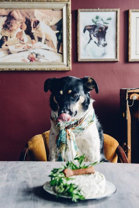 A Liver and Parsley Birthday Cake for a Special Dog: Julep’s 4th Birthday