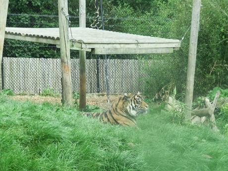 Our Day Out At Chessington World Of Adventures with O2 Priority