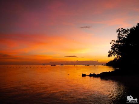 Bluewater Panglao Beach Resort Sunset