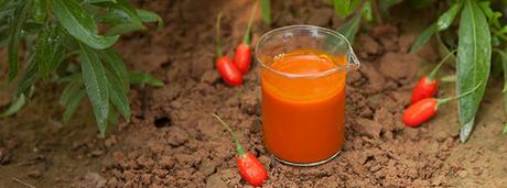 Goji berry Juice Benefits Uses