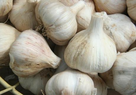 Garlic (Alliumphobia)