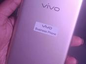 Reasons Vivo