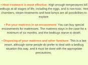 Alone Bugs Affecting Your Mental Health