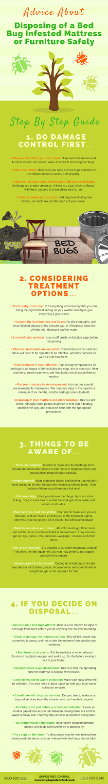 The Complete Guide To Bed Bug Mattress Disposal