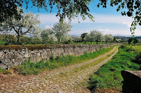 Penela da Beira, Viseu