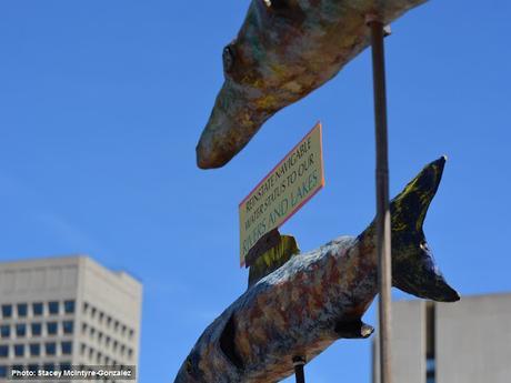 #PeoplesClimateMarch #Ottawa #Ontario joins #ClimateChange #Protest