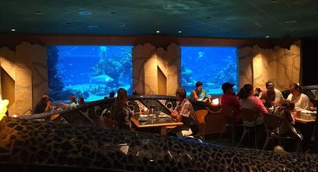 Disney Day 10: Touring Disney's Moderate Hotels & Coral Reef in Epcot