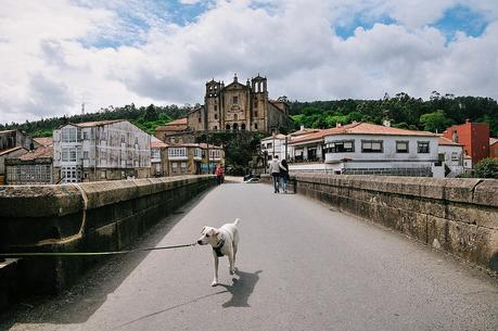 Padrón, Spain