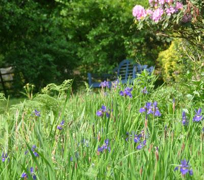 Time for Asparagus -- and Other Spring Pleasures!