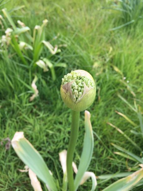 Parham Gardens on the Last Day of April