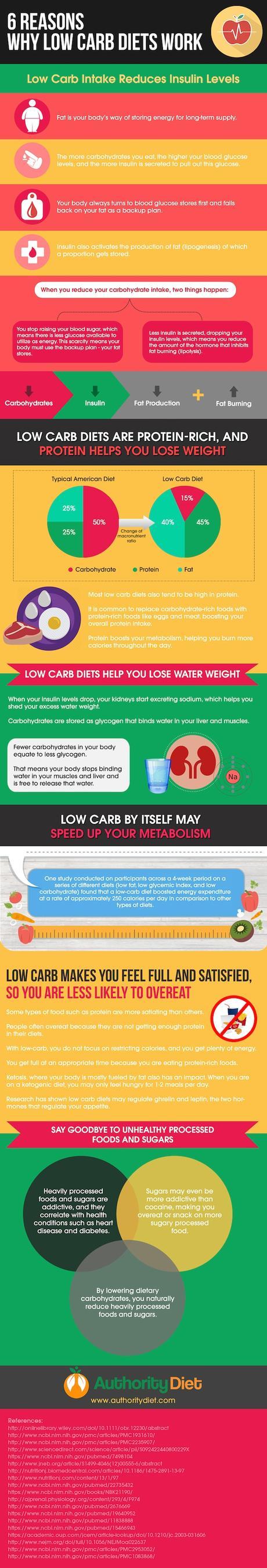 why low carb diets work infographic
