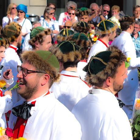 Color parade