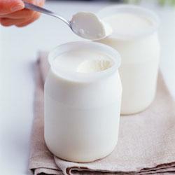 spoonful from probiotic yogurt pot