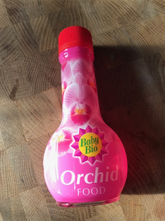 Product Review:  Baby Bio® Orchid Care