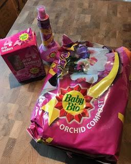 Product Review:  Baby Bio® Orchid Care