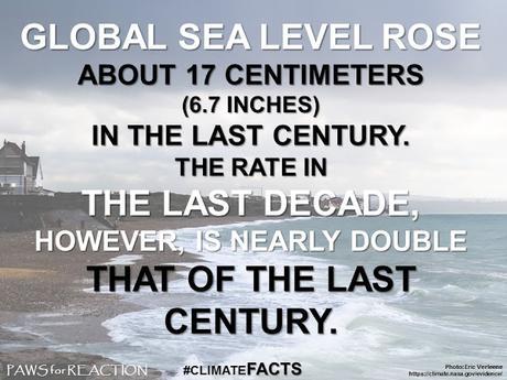 Climate change facts