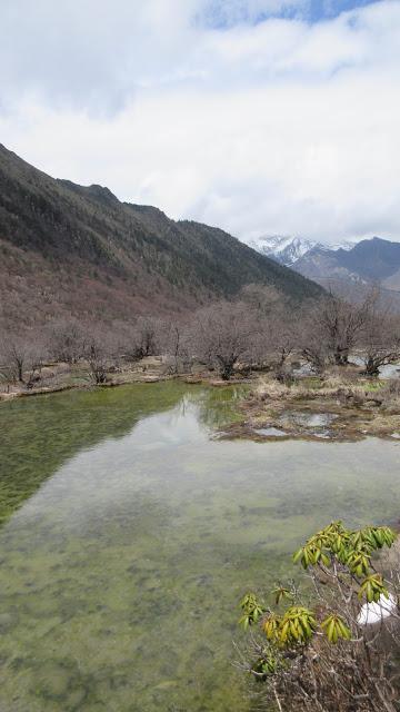 Discovering the Beauty of Huanglong