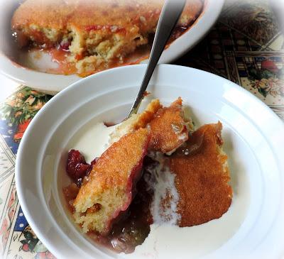 Rhubarb & Raspberry Pudding Cake