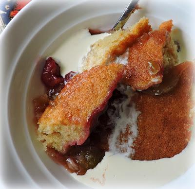 Rhubarb & Raspberry Pudding Cake