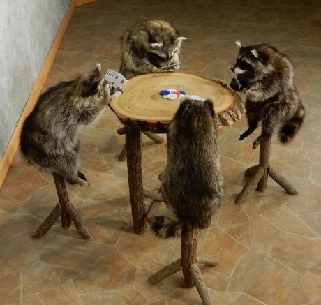 Racoons Playing Poker