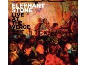 Elephant Stone: Live Verge