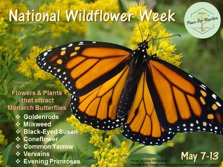 National Wildflower Week May 7-13