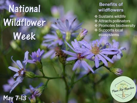 National Wildflower Week May 7-13