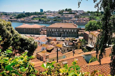 the view from Jardim Municipal do Horto das Virtudes, Porto