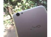 Vivo Review
