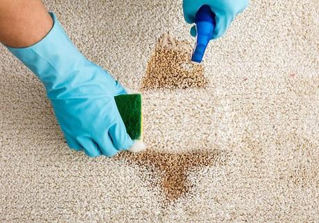 10 Clever Ways To Keep Your Carpets Out Of Dust and Dirt