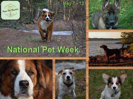 #NationalPetWeek #May7-13 #Celebrating #Favourite #Dogs