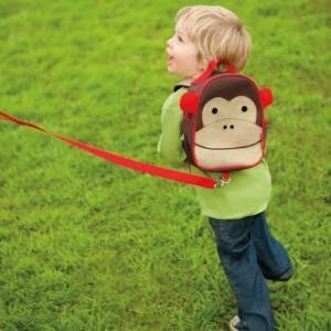 Best Toddler Harness Reviews Of 2017 | Best Baby Harness Backpack.