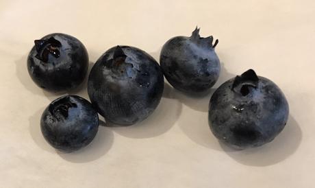 Blueberries & Boogers