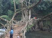 DAILY PHOTO: Root Bridges Meghalaya