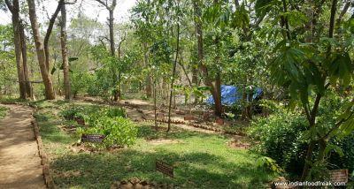 Kairali – An Ayurvedic Healing Village, Pallakad, Kerala
