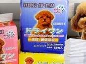 Save Pets Using These Necessary Items!