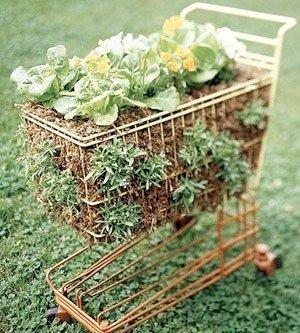 Container Gardening Ideas E Z Vegetables Herbs And Flowers!