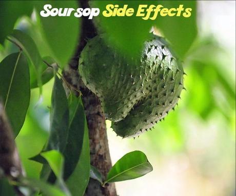 Soursop Side Effects