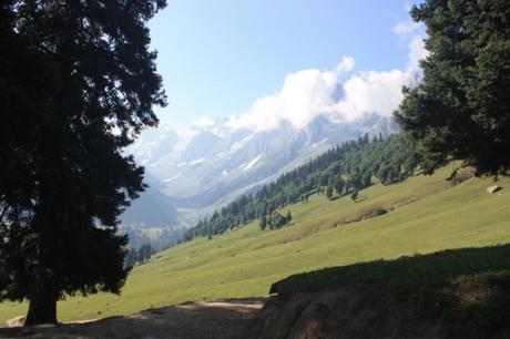 DAILY PHOTO: Mountain Slope with and without Trees