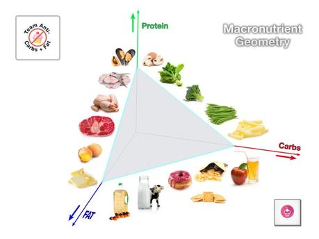 The Macronutrient Triangle – Stay Away from the Base