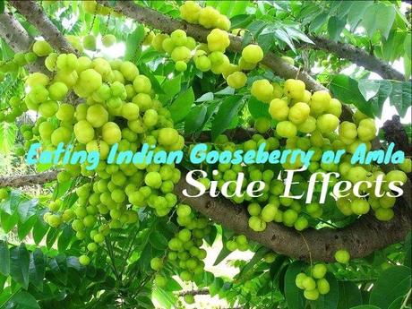 Indian Gooseberry Side Effects