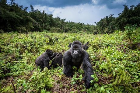 Nat Geo Offers the Best Summer Trips for 2017