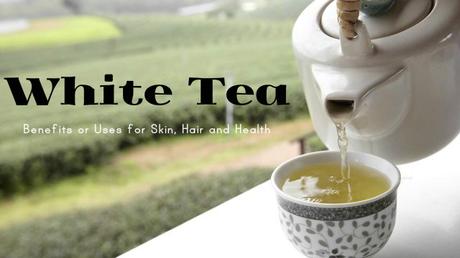 White Tea Benefits Uses