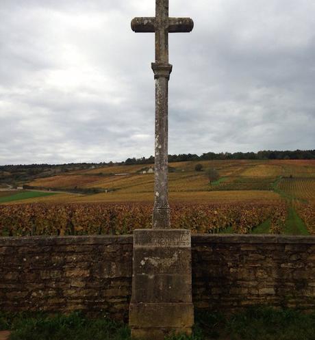 A Tour of Burgundy, Part 1 | Not to Late to Join Us May 20th!