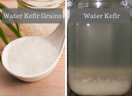 water kefir grains and water kefir compared